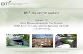 RNA-seq analysis worksop - · PDF fileRNA-seq analysis worksop Zhangjun Fei Boyce Thompson Institute for Plant Research USDA Robert W. Holley Center for Agriculture and Health Cornell