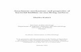Attachment mechanisms and properties of bacterial …ethesis.helsinki.fi/julkaisut/maa/skemi/vk/kolari/attachme.pdf · Attachment mechanisms and properties of bacterial biofilms on