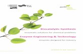 Enzyme Engineering & Technology - NCP · PDF file1 1 ynzmes echnology Engineering solutions Biocatalytic Synthesis enzymatic solutions for chemical problems Enzyme Engineering & Technology
