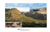 INFORME PRELIMINAR SOBRE LA SITUACIÓN DEL · PDF fileGanado asilvestrado en la Red Natura 2000 en Canarias - Introducción 4 pero ausente en cabras de otras regiones geográficas,