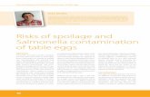 Risks of spoilage and Salmonella contamination of table · PDF filersks of spoilage and i salmonella contamination of table eggs Abstract Consumers and food business operators ...