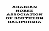 Untitled - Region 1 Arabian Horse Association 1.pdf · 1055 summerplace ct corona, ca 92881 ... 1148 wagon wheel ct san dimas, ca 91773 ... 2894 walking horse ranch dr norco, ca 92860