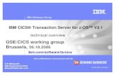 GSE/CICS working group Brussels, - Think · PDF fileIBM CICS® Transaction Server for z/OS™ V3.1 ... CICS BTS CICS Web Support 3270 Bridge, ... ctgjni.dll JNI module Java Client
