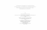 CULINARY TOURISM AS A DESTINATION ATTRACTION: AN EMPIRICAL ... · PDF fileculinary tourism as a destination attraction: an empirical examination of ... culinary tourism as a destination
