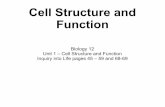 Cell Structure and Function - Science with Mr  ??Cell Structure and Function Biology 12 ... Pick up the notes/worksheet for this unit and ... Cell Organelles Video