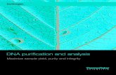 DNA purification and analysis - Thermo Fisher Scientific · PDF fileDNA purification and analysis ... Transformation ... Which PureLink plasmid purification kit is right for you?