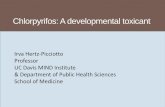 Chlorpyrifos: A developmental toxicant · PDF fileChlorpyrifos: Impact on the brain Toxicology: Massively large literature Acute exposures result in cholinesterase inhibition and in