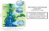 THE RIVER CONTINUUM CONCEPT - · PDF fileTHE RIVER CONTINUUM CONCEPT VANNOTE ET AL. (1980) A synthetic framework to describe the biological function of streams from the headwaters