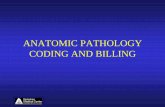 ANATOMIC PATHOLOGY CODING AND BILLINGuscapknowledgehub.org/site~/95th/pdf/sc36-2.pdf · CLINICAL PATHOLOGY CONSULTATIONS • CPT Definition—“a service, including a written report,