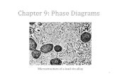 Microstructure of a lead-tin alloy - Course Notescoursenotes.mcmaster.ca/1M03_Summer_2013/Chapter9_TJ.pdf · Phase Diagrams •Component: a chemical constituent of an alloy, which