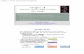Chapter 11 Nucleic Acids and Protein Synthesis · PDF fileNucleic Acids and Protein Synthesis Nucleic Acids ... • The nucleic acid backbone then is a sequence of sugar-phosphate
