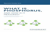 WHAT IS PHOSPHORUS, - Fondriest Environmental, Inc. · PDF filealso with a wide variety of equipment and accessories used ... What is Phosphorus? ... hydrosphere, and biosphere