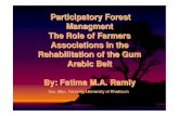 PFM in Gum Arabic Belt-Fatima M.A. · PDF fileParticipatory Forest Managment The Role of Farmers Associations in the Rehabilitation of the Gum Arabic Belt By: Fatima M.A. Ramly Bsc.