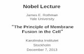 The Principle of Membrane Fusion in the Cell - Nobel Prize · PDF fileThe Principle of Membrane Fusion in the Cell ... Vesicles That Fail to Fuse . Malhotra, Orci & Rothman, ... Söllner