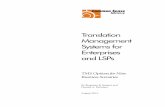 Translation Management Systems for Enterprises and · PDF fileTranslation Management Systems for ... we spoke with 28 technology providers of translation management systems ... report