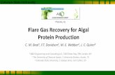 Phoenix, Az Flare Gas Recovery for Algal Protein Productionalgaebiomass.org/wp-content/gallery/2012-algae-biomass-summit/2010… · Flare Gas Recovery for Algal Protein Production
