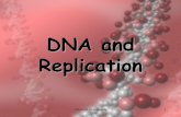 DNA and Replication -   · PDF fileDNA and Replication copyright cmassengale . 2 History of DNA copyright cmassengale . 3 History of DNA ... Discovery of DNA Structure