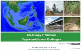 Bio-Energy in Vietnam Opportunities and · PDF filePPC (DPI) Proposal Investor Provincial Peoples Committee(PPC) Investment Approval FS Evaluation Committee PPC Business Registration