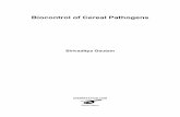 Biocontrol of Cereal Pathogens - UNIVERSAL · PDF fileBiocontrol Of Cereal Pathogens - 2 - 1.7.2. Screening microorganisms from microbial communities for disease control...21 1.8.