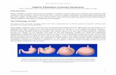 Gastric Dilatation-Volvulus Syndrome · PDF fileGastric dilatation-volvulus syndrome can produce significant alterations to cardiovascular performance and tissue perfusion in affected