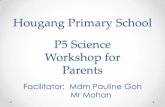 Hougang Primary School P5 Science Workshop for Parentshougangpri.moe.edu.sg/qql/slot/u157/stakeholders/Resources for... · P5 Science Workshop for Parents ... not go outside the container