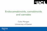 Endocannabinoids, cannabinoids and · PDF fileand cannabis Celia Morgan . University of Exeter . 2 . ... Afghani - BC bud – big bud – bomb – Blue velvet – ... John Powell .