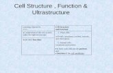 Cell Structure , Function & Ultrastructure · PDF file02.01.2013 · Cell Structure , Function & Ultrastructure Learning Objectives 2.1.2 Cell Structure and Function Components of