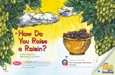 How Do You Raise a Raisin? - Ms. Burk's 3rd Grade Classbcesburk.weebly.com/uploads/3/7/5/0/37504569/how_do_you_raise_a… · How Do You Raise a Raisin? (,-by Pam Muñoz Ryan illustrated
