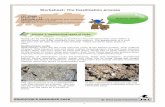 Worksheet: The fossilization process - West  · PDF fileWorksheet: The fossilization process ... The granite cave shown in the ... roamed Planet Earth millions of years ago