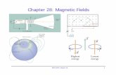 Chapter 28: Magnetic Fields - University of · PDF filePHY2049: Chapter 28 1 Chapter 28: Magnetic Fields. ... Chapter 28 13 Magnetic Field B ... Chapter 28 19 Example ÎA 4 m long