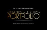 INVESTMENTS IN THE LUXURY INDUSTRY -   · PDF fileinvestments in the luxury industry ... structure (2-2) number of issuers ... lvmh moet hennessy louis vui tiffany & co