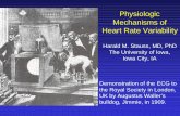 Physiologic Mechanisms of Heart Rate · PDF filePhysiologic Mechanisms of Heart Rate Variability ... Acta Physiol. Scand. 85:415 -417, ... (mmHg * mmHg / Hz) Power Spectral Analysis: