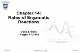Chapter 14: Rates of Enyzmatic Reactionspeople.uleth.ca/~steven.mosimann/bchm3100/Bchm3100_L8.pdf · Chapter 14: Rates of Enyzmatic Reactions Voet & Voet: ... Initial reaction rates
