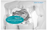 Gastroenterology - Erbe Elektromedizin · PDF file02 INTRODUCTION 04 Endoscopic applications of electrosurgery GASTROENTEROLOGY WORKSTATION 05 EFFECTS OF THE TECHNOLOGIES 06 Electrosurgery