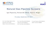 Natural Gas Pipeline Sensors - i4Energyi4energy.org/.../sutardja-dai/5-Natural_Gas_Pipeline_Sensors.pdf · Natural Gas Pipeline Sensors ... determining pipe integrity when used on