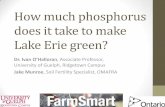 How much phosphorus does it take to make Lake Erie green? · PDF fileHow much phosphorus does it take to make Lake Erie green? Dr. Ivan O’Halloran, Associate Professor, University