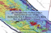An Insight Into Hydrocarbon Extraction From Shale ... · PDF fileAn Insight Into Hydrocarbon Extraction From Shale: ... petroleum expulsion, ... and E show mesopores