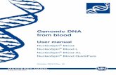 Genomic DNA from blood - Macherey-Nagel AG · PDF file• NucleoSpin® Blood kits are designed for the rapid isolation of highly pure genomic DNA from whole blood, serum, plasma, or