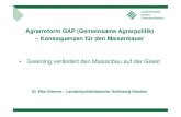 Agrarreform GAP (Gemeinsame Agrarpolitik) – · PDF fileAgrarreform GAP (Gemeinsame Agrarpolitik) – Konsequenzen für den Maisanbauer • Greening verändert den Maisanbau auf der