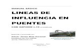 MANUAL BÁSICO LINEAS DE INFLUENCIA EN PUENTES · PDF fileMANUAL BÁSICO LINEAS DE INFLUENCIA EN PUENTES CON SAP2000 v.14 (4 EJEMPLOS) ... Show As General Vehicle