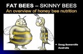 FAT BEES – SKINNY BEES -   · PDF fileFAT BEES – SKINNY BEES An overview of honey bee nutrition Doug SomervilleDoug Somerville Australia