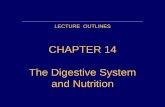 CHAPTER 14 The Digestive System and Nutritionluftiganatomyandphysiology.weebly.com/uploads/1/7/5/9/1759825/... · •Cecum (blind pouch), appendix •Colon: ascending, transverse,