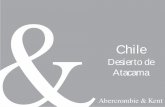 Chile -  · PDF fileDesierto de Atacama –Hotel Alto Atacama, lujoso hotel con 32 suites con terraza. Está cerca de las ruinas de Pukara de Quitor