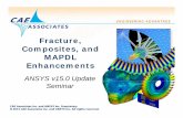 Fracture, Compp,osites, and MAPDL Enhancements · PDF fileFracture, Compp,osites, and MAPDL Enhancements ... Composites in ANSYS ... existing structural solver licenses dedicated to