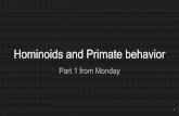 Hominoids and Primate behavior - WordPress.com and Primate behavior Part 1 from Monday 1. Today ... Morphology: traits reflecting ... Primate grouping patterns 1.