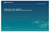 802.11ac MU-MIMO Bridging the MIMO Gap in Wi-Fi Visual Networking Index Global Mobile Data Traffic Forecast Updates 2013 -2018 provider/visual-networking-index-vni/white_paper_c11-520862.html