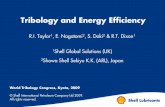 Tribology and Energy Efficiencys04.static-shell.com/.../pdf/tribology-and-energy-efficiency.pdf · Tribology and Energy Efficiency R.I. Taylor1, E. Nagatomi2, ... Journal of Engineering