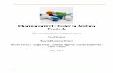 Pharmaceutical Cluster in Andhra Pradesh - Michael … Pradesh Pharmaceutical Cluster | Page 1 Table of Contents 1 Executive Summary 3 2 Introduction to India ...