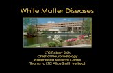 White Matter Diseases - Inova Presentations an… · Dissemination in space: 1. Periventricular ... (Hurst disease) ... White Matter Diseases •Vascular: SVID, CADASIL, vasculitis