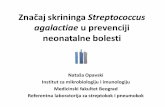 Značaj skrininga Streptococcus agalactiae u cilju ...nrlstrep.rs/documents/Znacaj skrininga Streptococcus agalactiae u... · •Otkriven kao izazivač bolesti kod životinja (mastitis